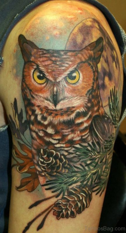 Owl Tattoo Design On Shoulder