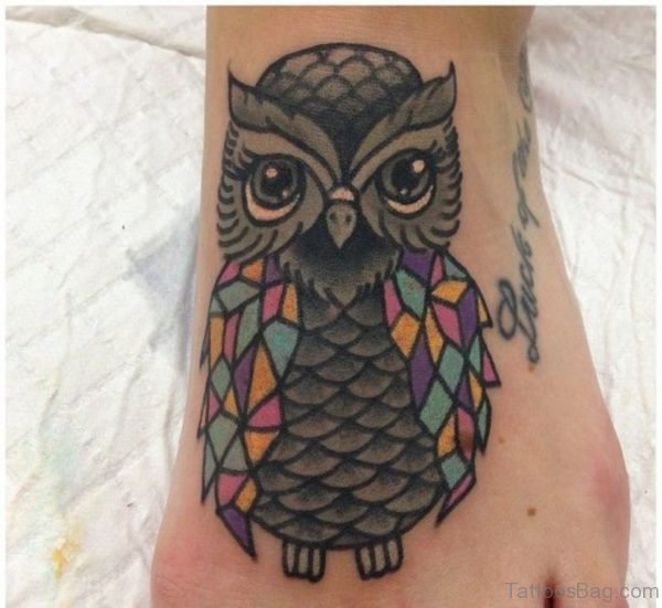 Owl With Color Wings