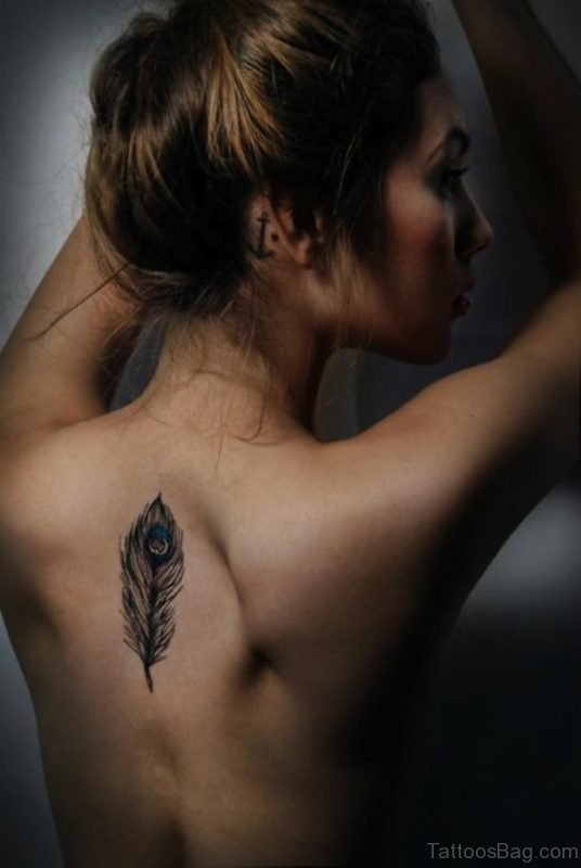 Peacock Feather Tattoo 