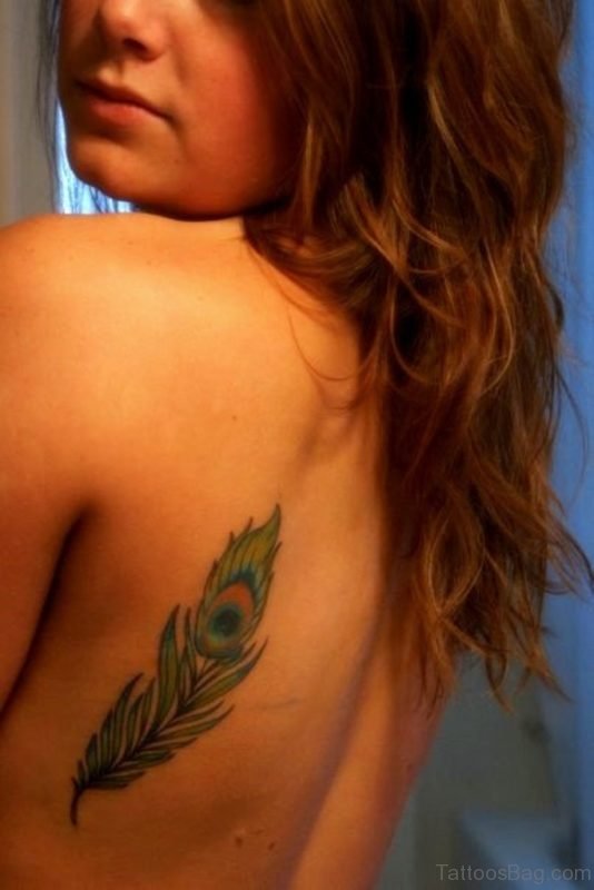 Peacock Feather Tattoo On Back For Girls