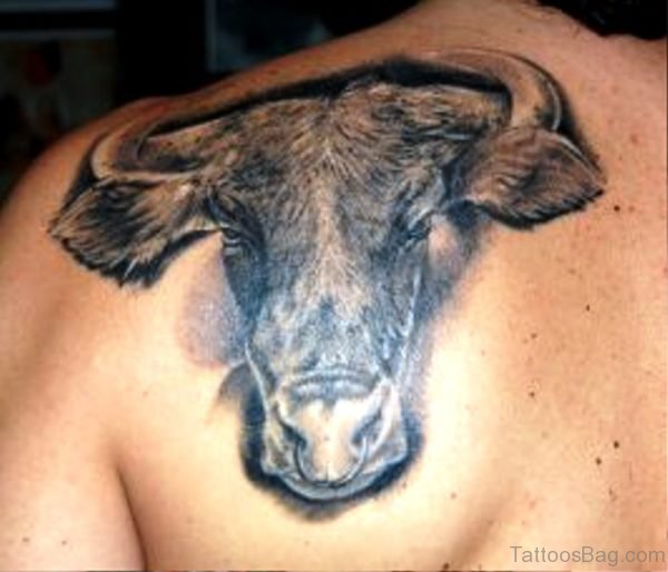 Picture Of Bull Tattoo On Back