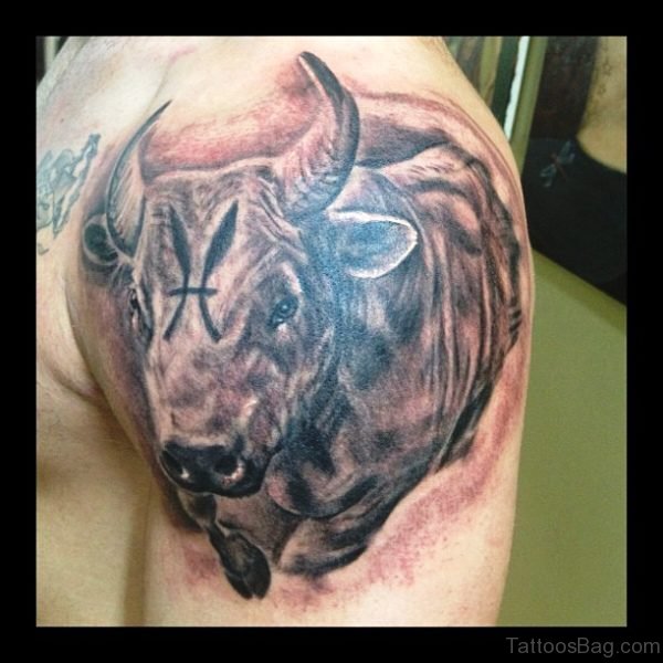 Realistic Bull Tattoo On Shoulder