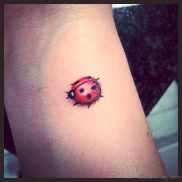 Stunning Ladybug Tattoo On Wrist 