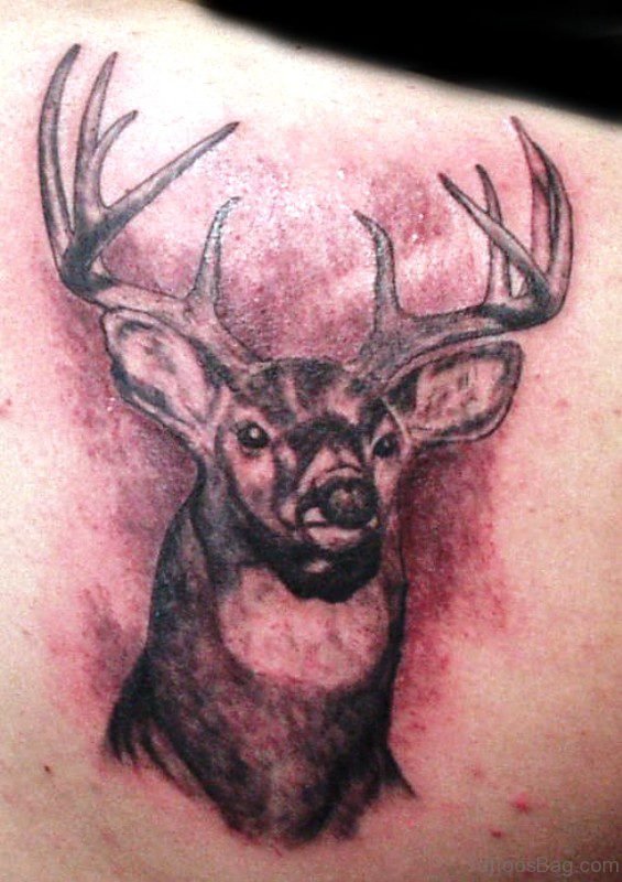 Stupendous Buck Tattoo On Shoulder
