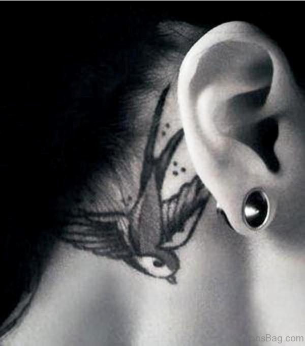 Swallow Bird Tattoo Behind Ear