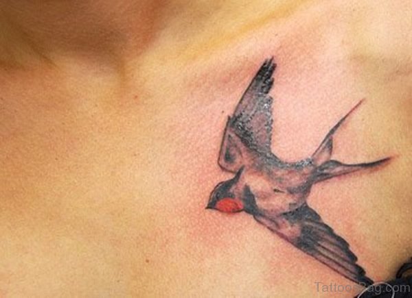 Swallow Tattoo Design On Girl Chest