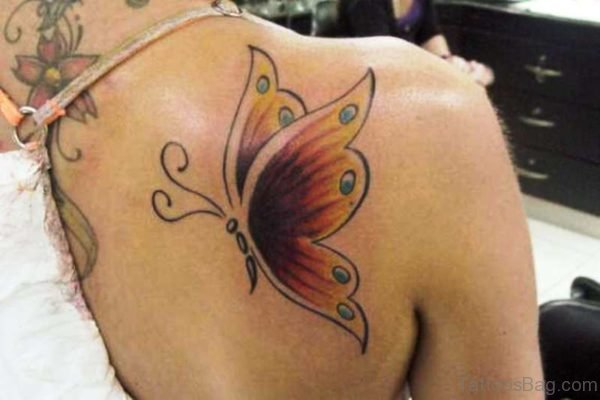 Sweet Stunning Butterfly On Shoulder
