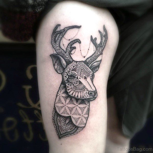 Terrific Buck Tattoo On Shoulder