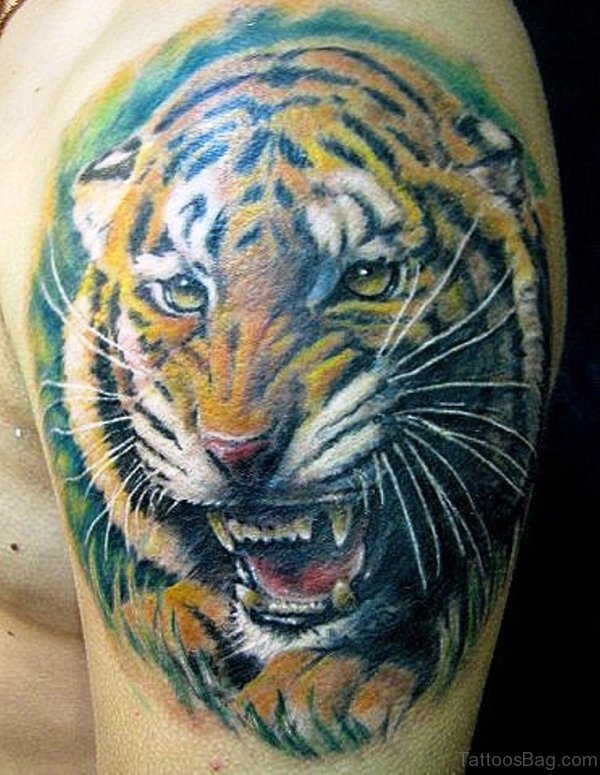 Tiger Face Tattoo Design 