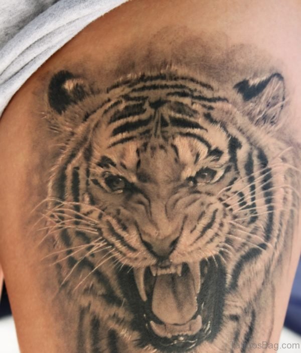 Tiger Tattoo 