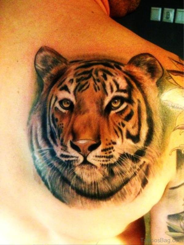 Tiger Tattoo On Shoulder Back 