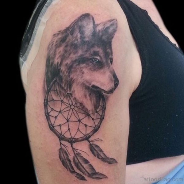 Wolf Head And Dreamcatcher Tattoo On Shoulder