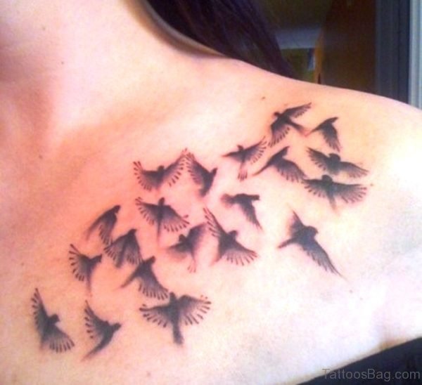 Wonderful Birds Tattoo On Shoulder