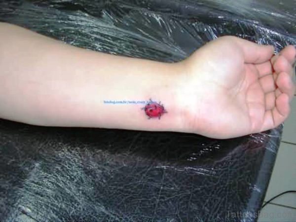 Wonderful Ladybug Wrist Tattoo 