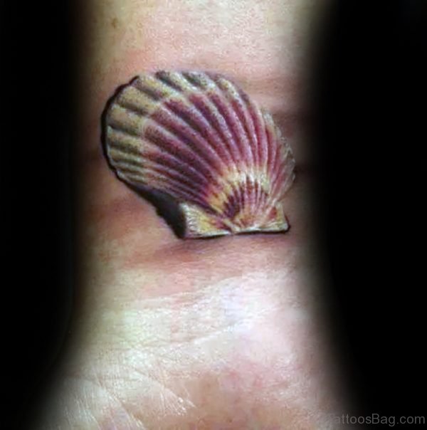 Wonderful Seashell Tattoo On Wrist