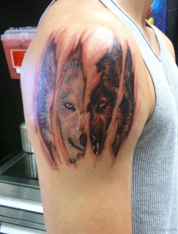 Ipped Skin Wolf Tattoo On Right Shoulder