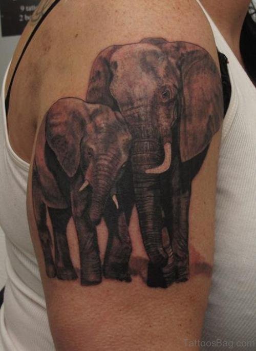 African Elephent Shoulder Tattoo