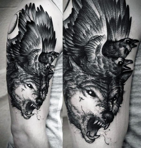 Alpha Wolf With Crows Tattoo On Shoulder