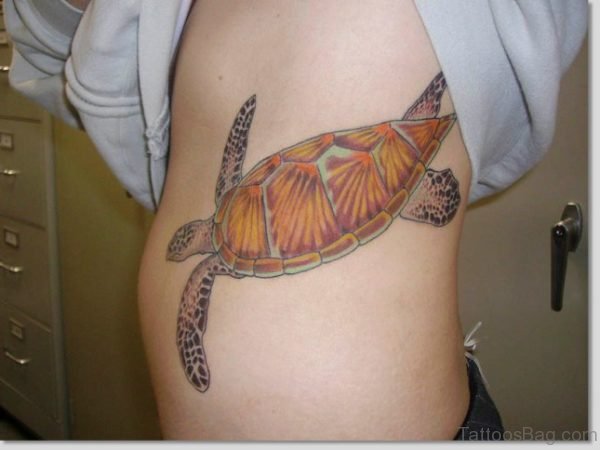 Attractive Turtle Tattoo On Rib