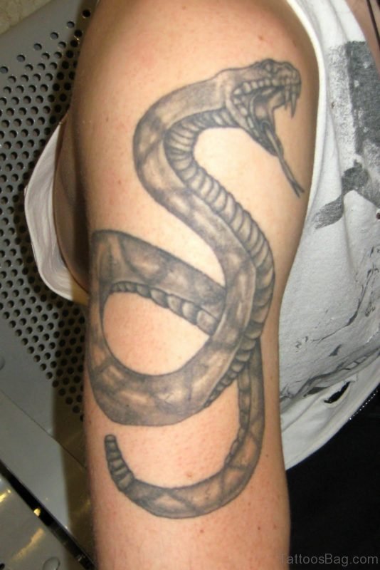 Snake Tattoo On Shoulder