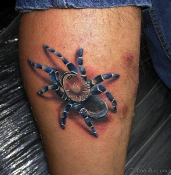 Awesome Spider Tattoo On Leg o On Leg TD1014 Tb1017