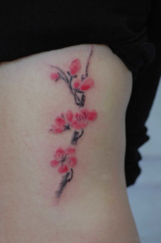 Beautiful Cherry Blossom Flower On Rib 