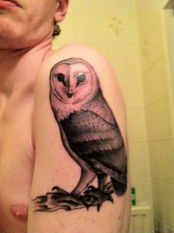 Best Owl Shoulder Tattoo