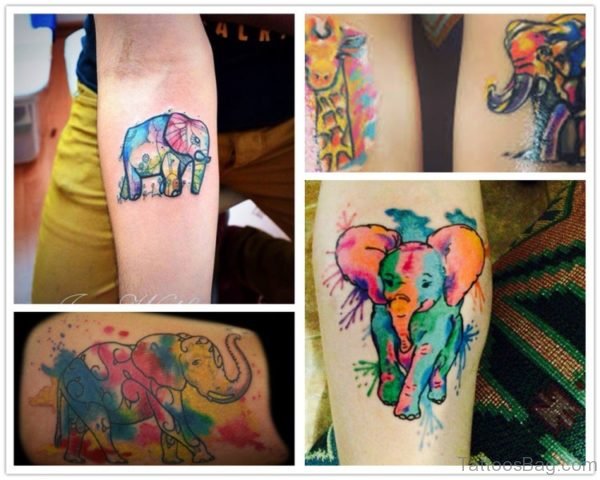 Best elephant Forearm Tattoo