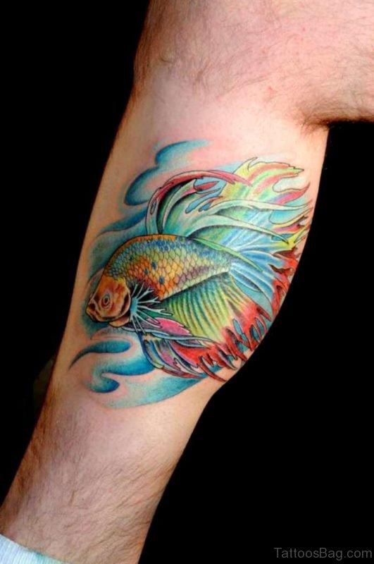 Betta Fish Tattoo On Leg