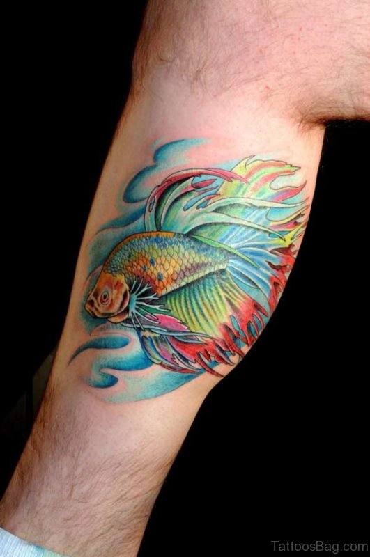 Betta Fish Tattoo On Leg 
