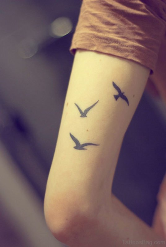 Bird Tattoo Design On Shoulder