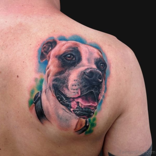 Boxer Dog Tattoo On Back 