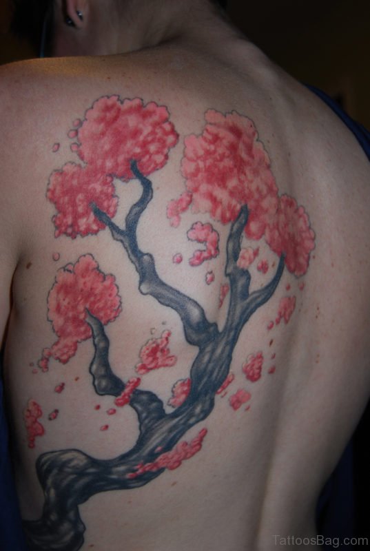 Cherry Blossom Flowers Tattoo On Rib