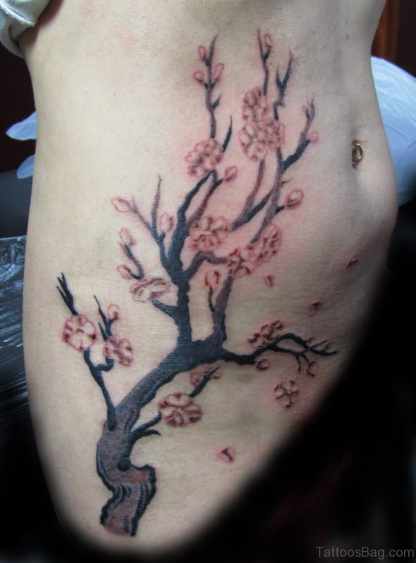 Cherry Blossom Tree On Rib