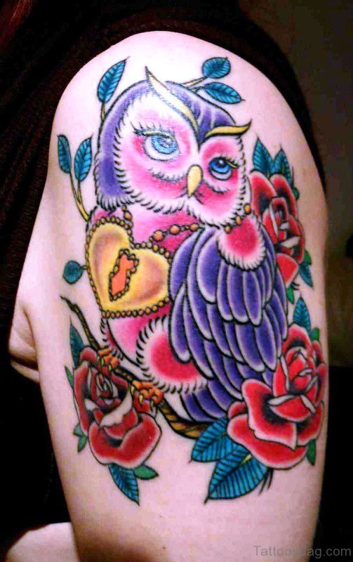 Colorful Owl Tattoo On Shoulder