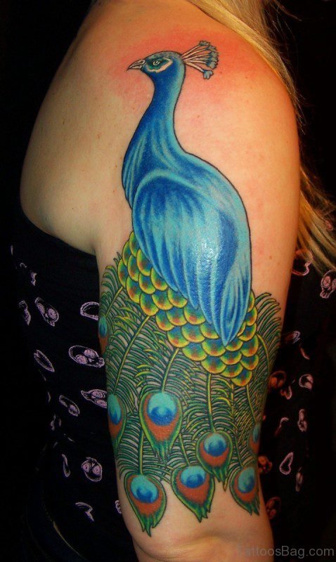 Cool Peacock Tattoo on Shoulder