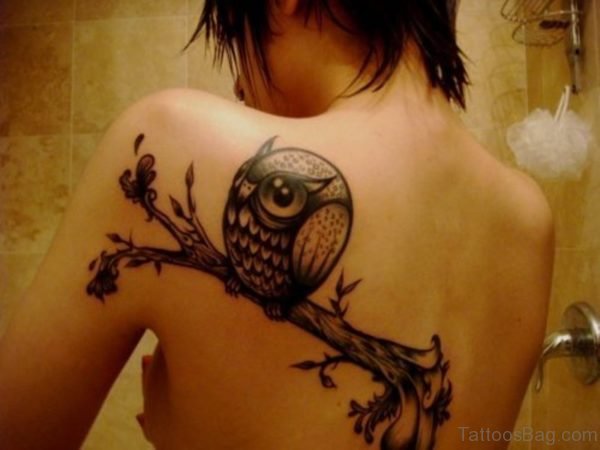 Cute Owl Tattoo On Left Shoulder
