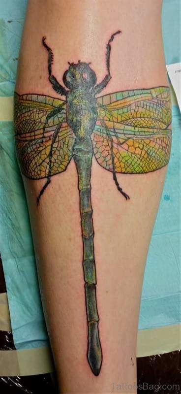 Dragonfly Tattoo  