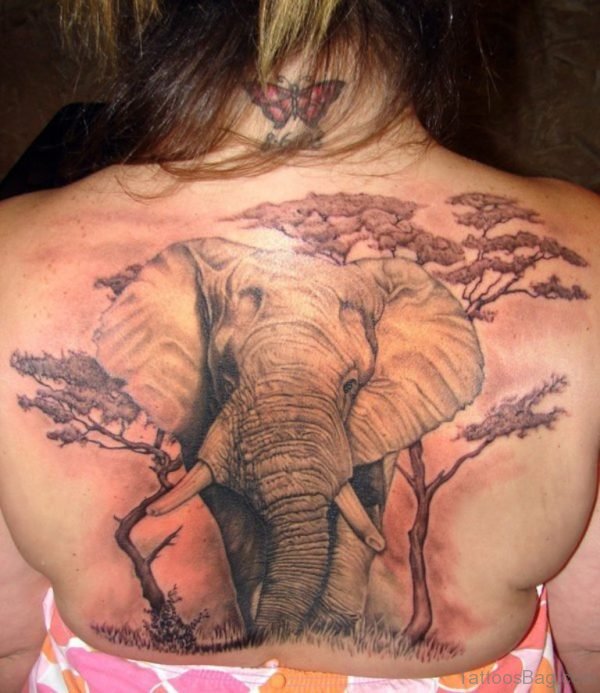 Elephant Tattoo On Back 