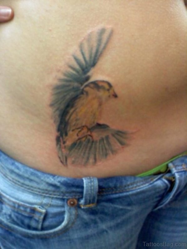 Fabulous Bird Tattoo On Waist