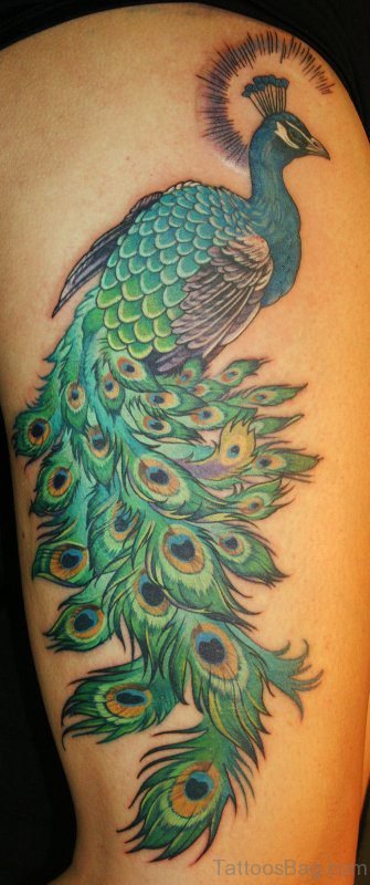 Fabulous Peacock Tattoo On Shoulder