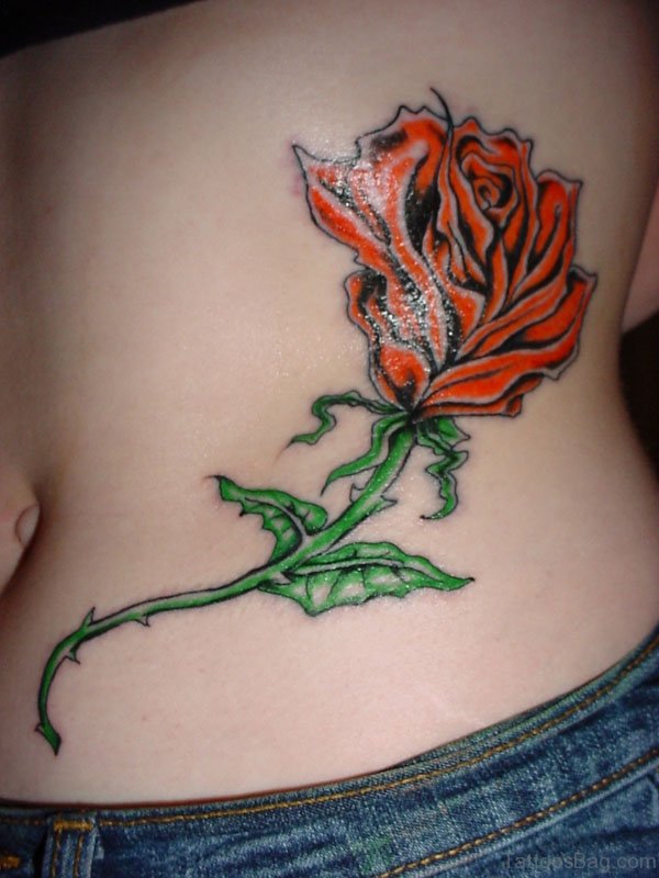 Fantastic Rose Tattoo On Rib 