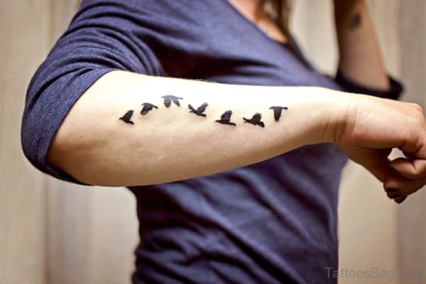 Flying Birds Tattoo On Arm