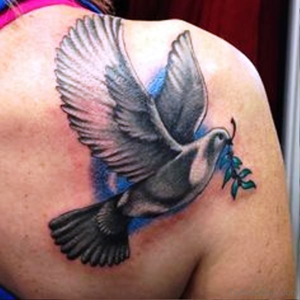 Flying Piegon Tattoo On Shoulder