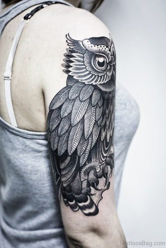 Grey Owl Tattoo On Right Shoulder