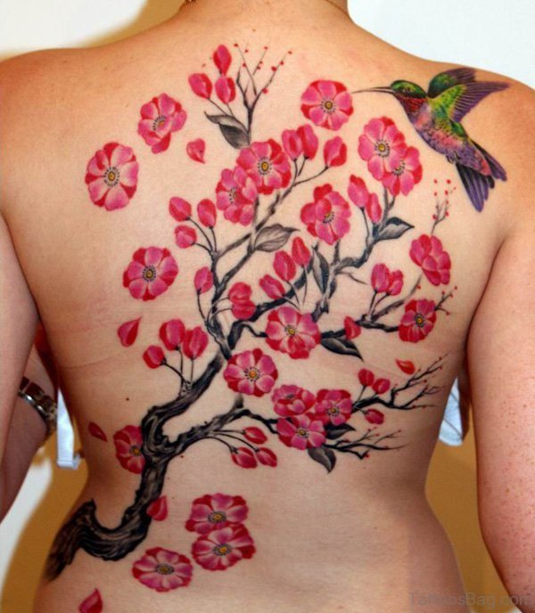 Hummingbird And Cherry Blossom Tattoo On Back