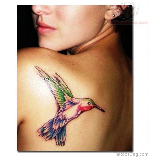 Hummingbird Tattoo On Back Shoulder