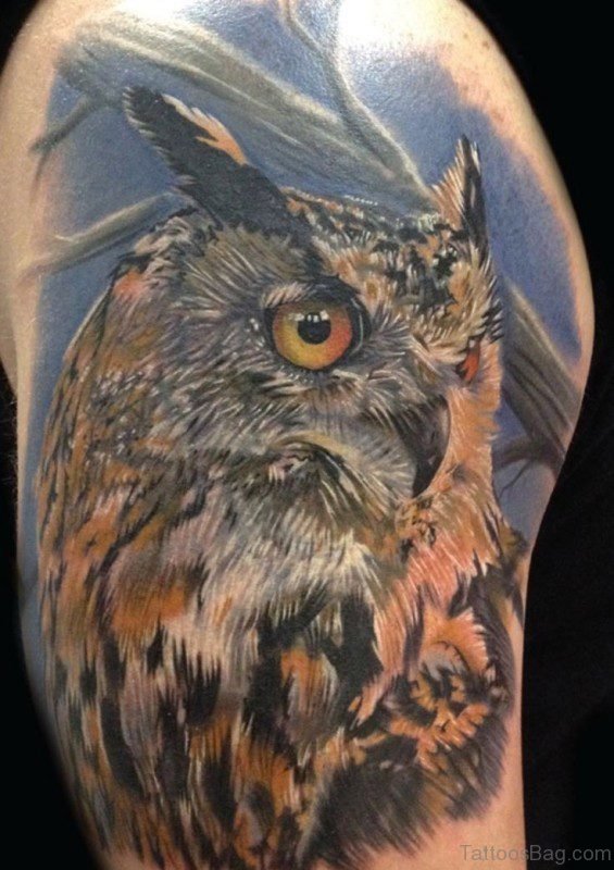 Incredible Owl Tattoo On Shoulder
