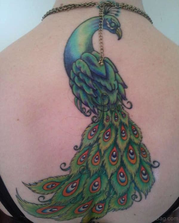 Incredible Peacock Back Tattoo