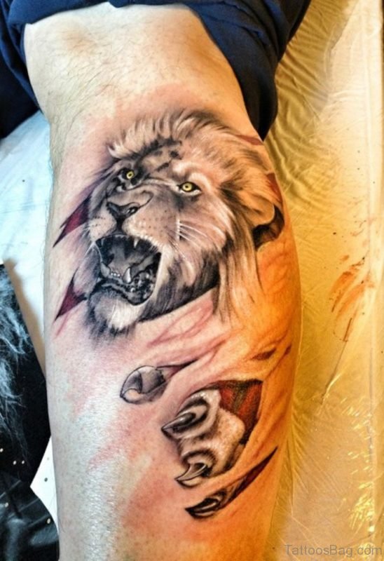 Lion Tattoo Design On Leg